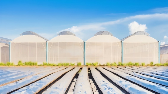 Cold Frame gallery 2
