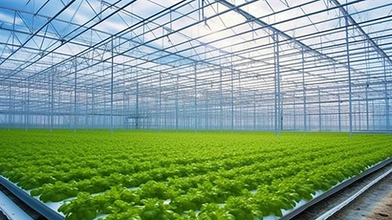 Cold Frame gallery 3