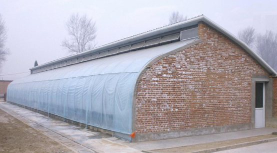Warm Greenhouse gallery 2
